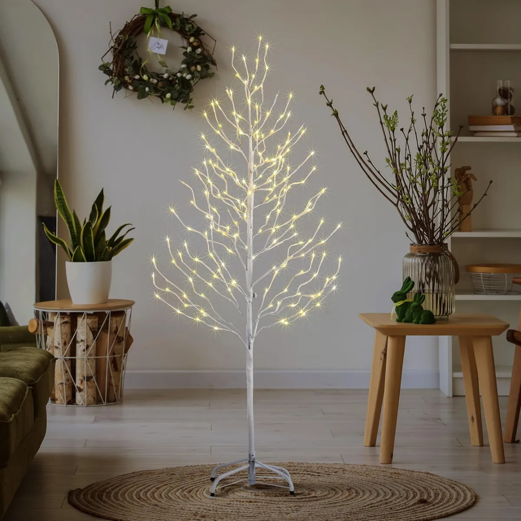 Árvores Brancas Quentes De Bétula iluminada