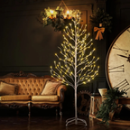 Árvores Brancas Quentes De Bétula iluminada