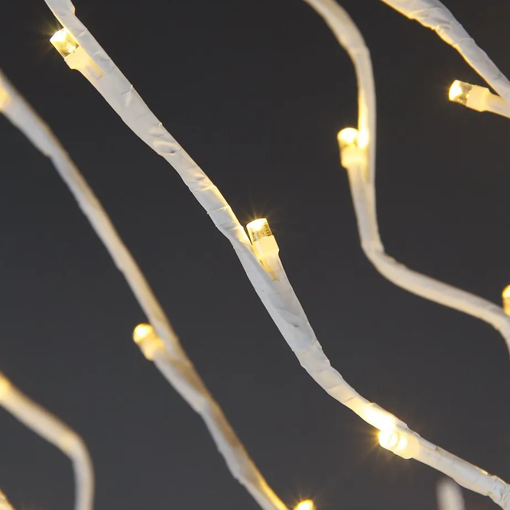 Árvores Brancas Quentes De Bétula iluminada