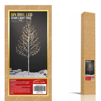 Árvores Brancas Quentes De Bétula iluminada