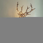 Cabeça de Rena Iluminada