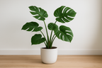 Monstera Artificial - Vista Lateral